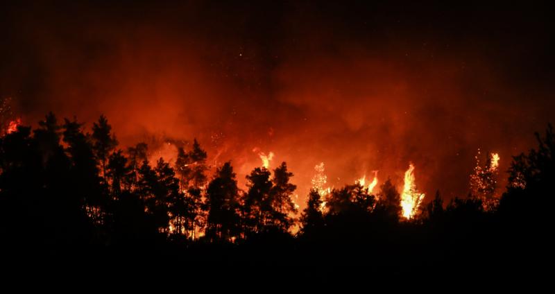 Μεγάλα πύρινα μέτωπα: Πυρκαγιές σε Λακωνία, Αρκαδία και Φθιώτιδα