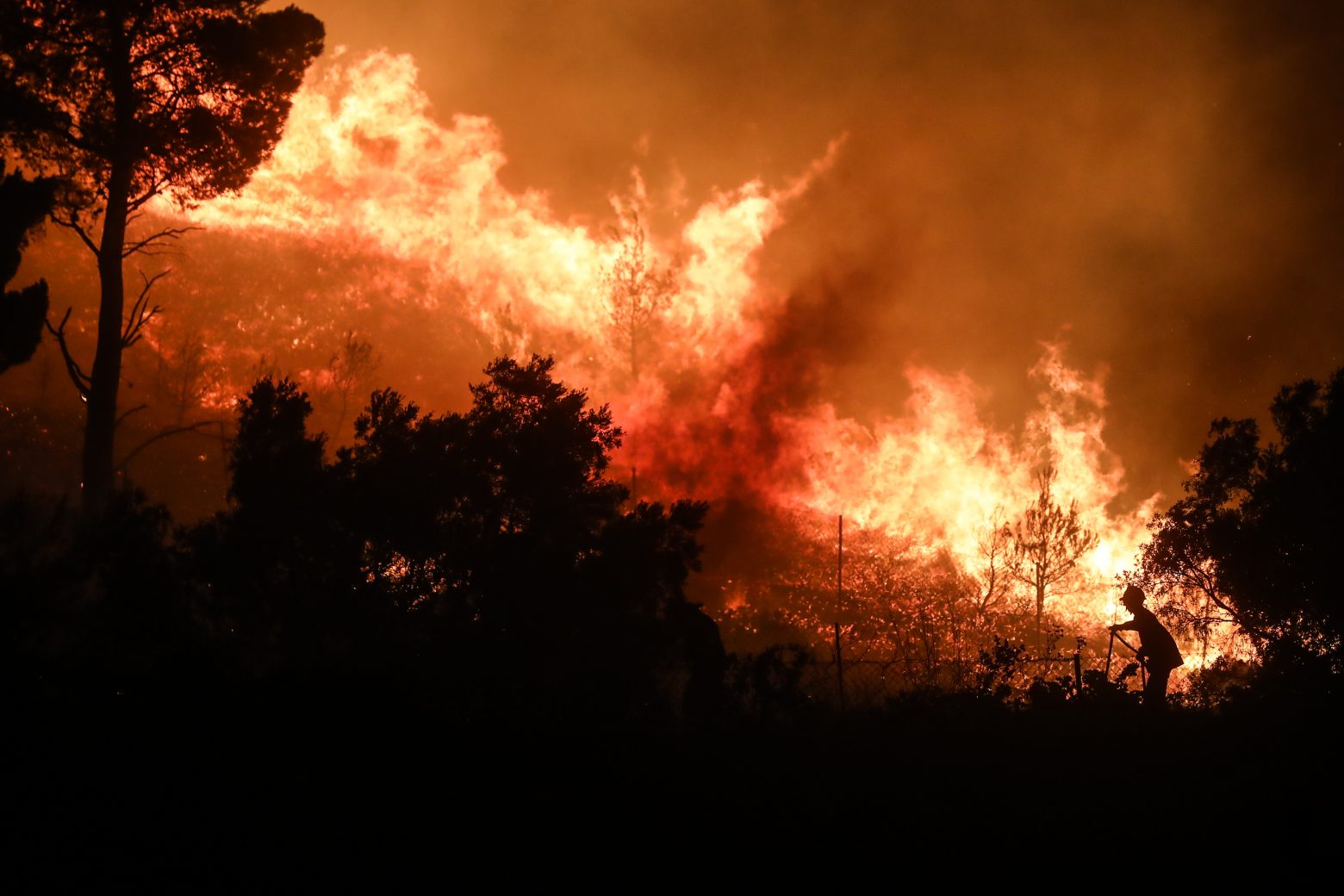 Φωτιά στην Πεντέλη: Πόσα σπίτια κρίθηκαν ακατάλληλα μετά τον έλεγχο