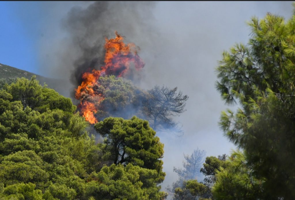 Άγναντας Ηλείας: «Γλείφει» τα σπίτια η φωτιά – Τραυματίστηκαν τρεις πυροσβέστες (upd)