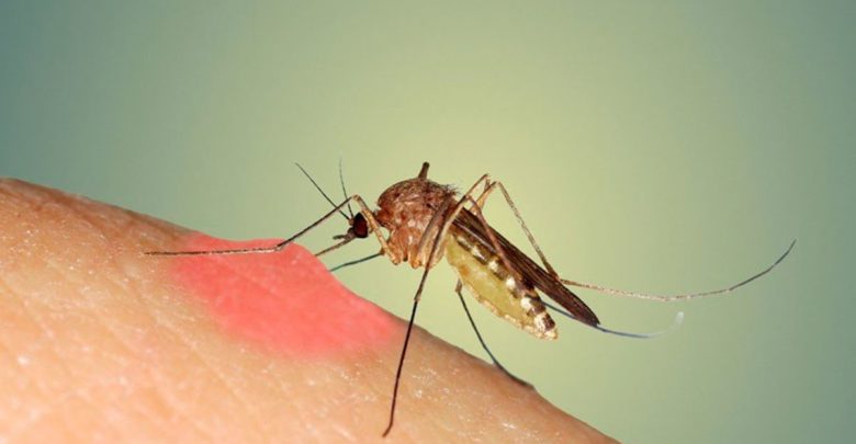 Επιβεβαιώθηκε κρούσμα του ιού του Δυτικού Νείλου στη Λάρισα – Το πέμπτο στη χώρα