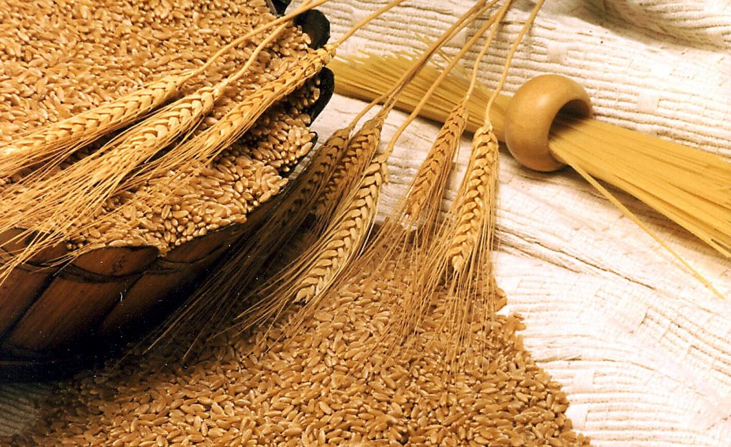 Ουκρανία: Όσα προβλέπονται στη συμφωνία για τα σιτηρά