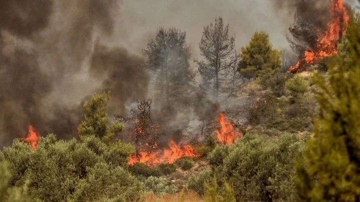 Πύρινο μέτωπο 2 χιλιομέτρων στο Σουφλί: Μάχη να μην φτάσουν οι φλόγες στο δάσος της Δαδιάς (βίντεο-upd)