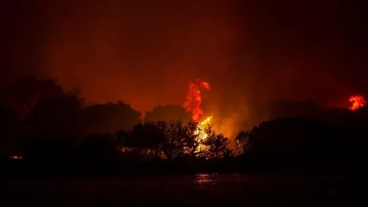 Πυρκαγιά σε δασική έκταση στη Χίο – Δεν απειλεί κατοικημένες περιοχές