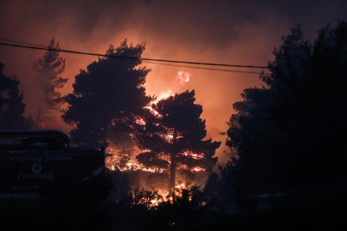  Φωτιά στο δάσος της Δαδιάς – Έκτακτη ενημέρωση της Πυροσβεστικής