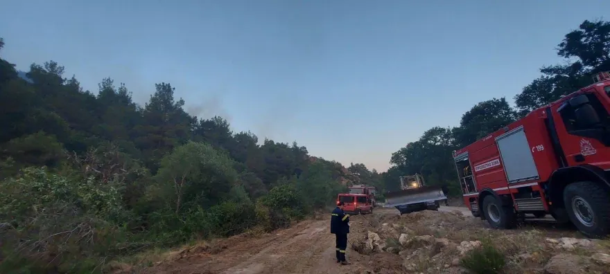 Φωτιά στον Έβρο: Στις παρυφές του δάσους Δαδιάς το μέτωπο – Σηκώθηκαν εναέρια μέσα