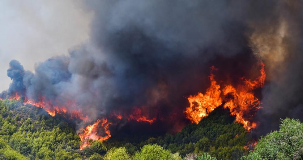Φωτιές στην Ηλεία: Καλύτερη εικόνα στα Αγναντα – Χωρίς ενεργό μέτωπο οι πυρκαγιές σε Τραγανό και Βάρδα