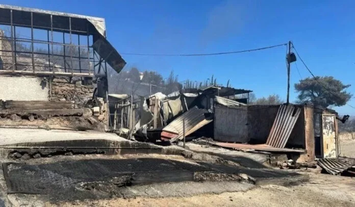 Ολοκληρωτική καταστροφή για τον Εθνικό Ιππικό Όμιλο Τατοΐου από την φωτιά – Σώθηκαν τα άλογα