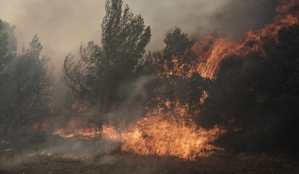 Φωτιά στα Γρεβενά: Η πυρκαγιά έφτασε και στον Εθνικό Δρυμό Βάλια Κάλντα