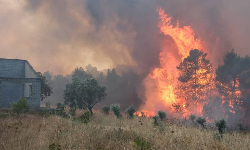 Πολύ υψηλός κίνδυνος φωτιάς σήμερα σε Αττική και νότια Εύβοια – Δείτε τον χάρτη με τις περιοχές σε κίνδυνο