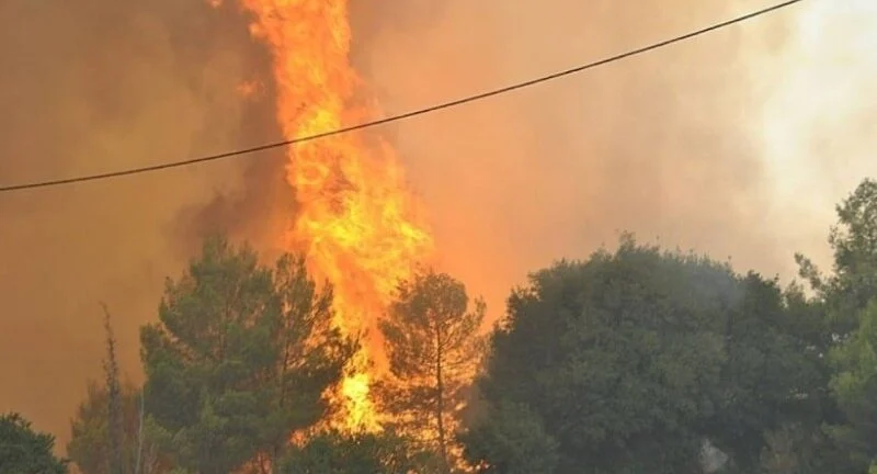 Φωτιά στην Πρέβεζα: Υπό μερικό έλεγχο η πυρκαγιά στην Βρυσούλα