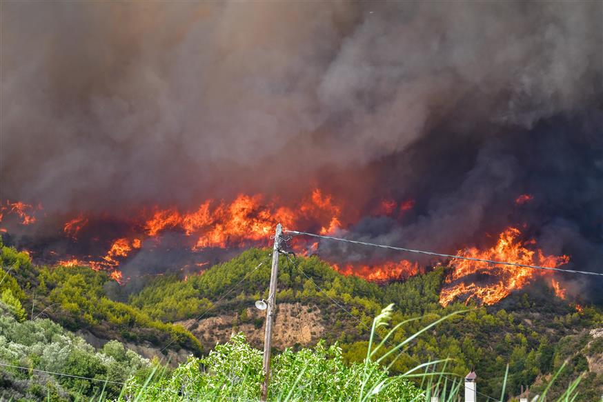 Δύσκολη νύχτα στην Ηλεία: «Η φωτιά μάς περικύκλωσε σε 10 λεπτά όπως το 2007»