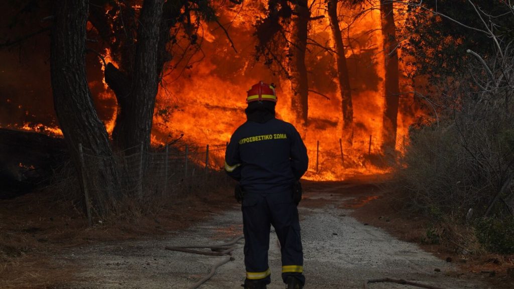 Για τέταρτη μέρα η φωτιά καίει τα πάντα στο Εθνικό Πάρκο της Δαδιάς στον Έβρο – Αλλά ο Χ.Στυλιανίδης ανεβαίνει σήμερα για… συντονισμό