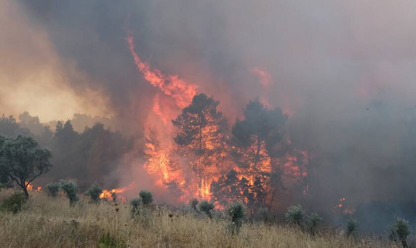 Ηράκλειο: Οριοθετήθηκε η φωτιά στο Δήμο Φαιστού