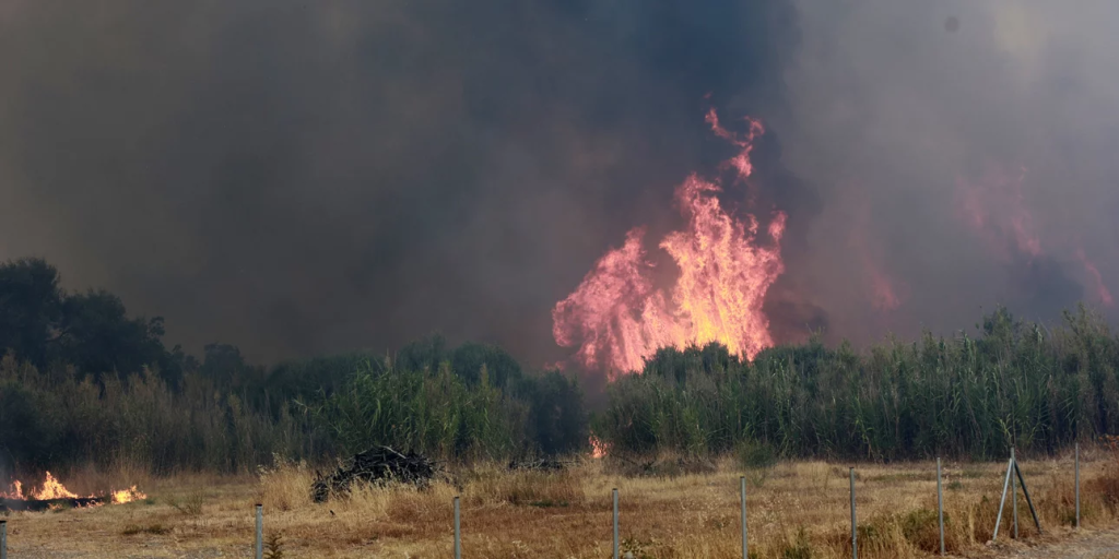 Πυροσβεστική για τις φωτιές: «Κινδύνευσαν πυροσβέστες στις επιχειρήσεις, σώθηκαν την τελευταία στιγμή»