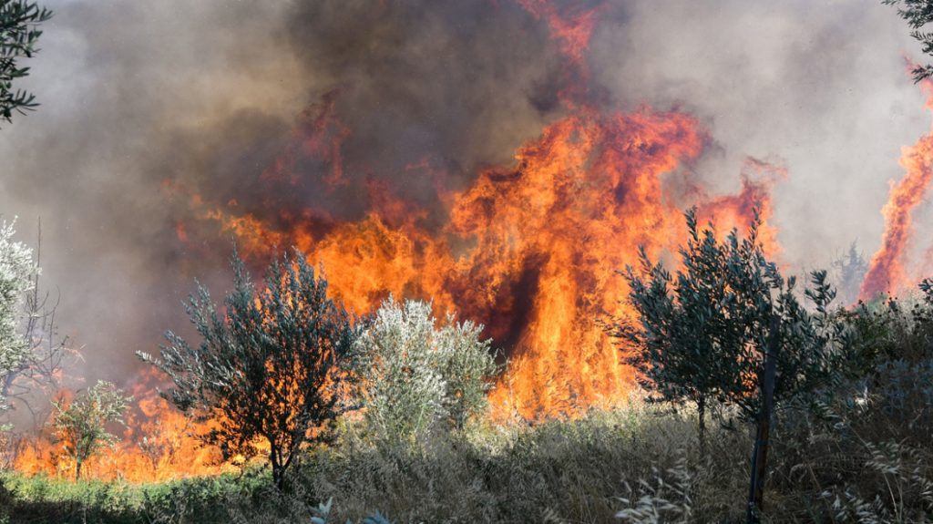 Κρέστενα Ηλείας: Οι φλόγες έφτασαν στις αυλές των σπιτιών – Κινδυνεύουν τρία χωριά