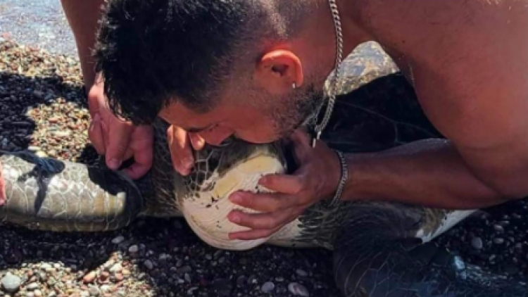 Ρόδος: Δύτης έκανε… τεχνητή αναπνοή σε θαλάσσια χελώνα που μπλέχτηκε σε σχοινιά