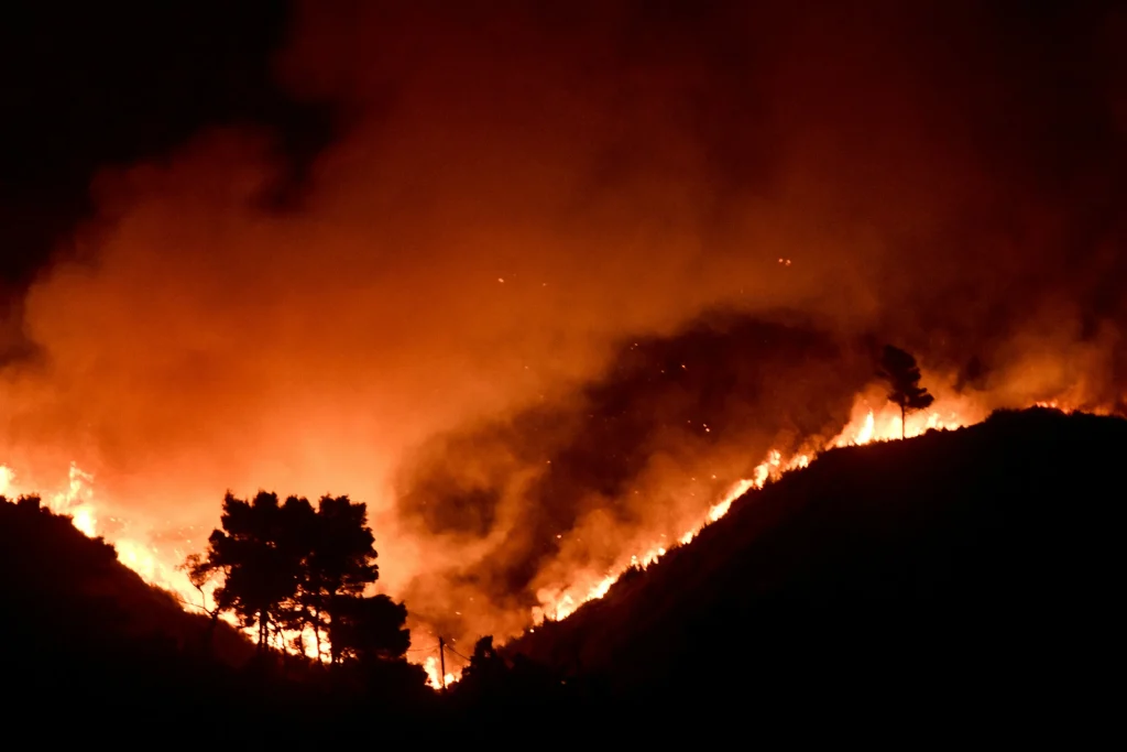 Φωτιά: Χάθηκαν πάνω από 42.000 στρέμματα δάσους 
