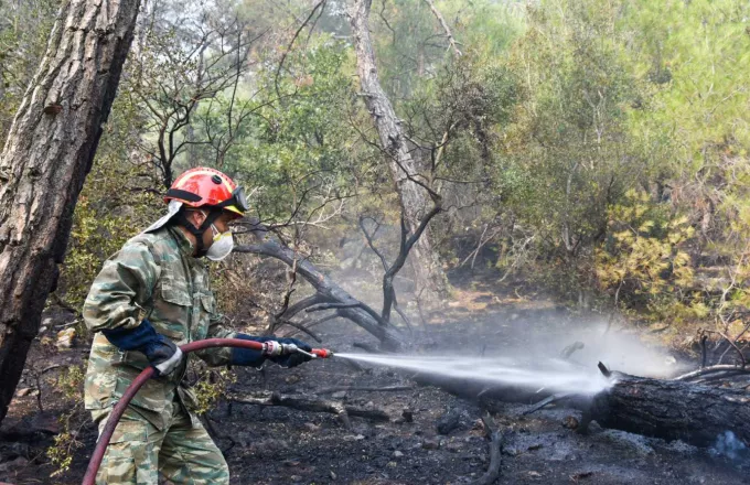Φωτιά στη Δαδιά: Η Μονάδα Διαχείρισης των Προστατευόμενων Περιοχών Έβρου στα μέτωπα της πυρκαγιάς