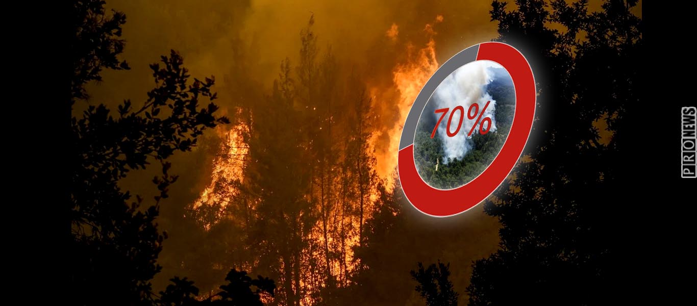 Κυβέρνηση: «Κάηκε μόνο το 70% της Δαδιάς»!