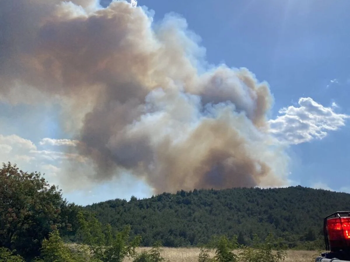 Μαίνεται η φωτιά στη Δαδιά – Δεν μπορούν να επιχειρήσουν τα εναέρια λόγω καιρού