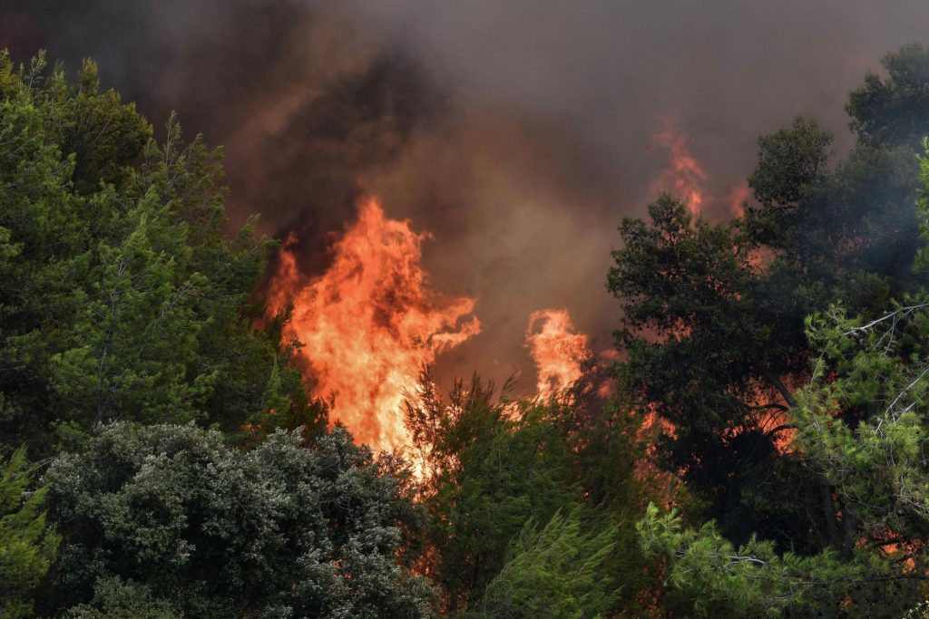 Έρχονται στην Ελλάδα Φινλανδοί πυροσβέστες για να βοηθήσουν στην κατάσβεση των δασικών πυρκαγιών