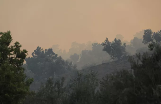 Φωτιά στη Λέσβο: Αναζωπυρώσεις με την ενίσχυση των ανέμων