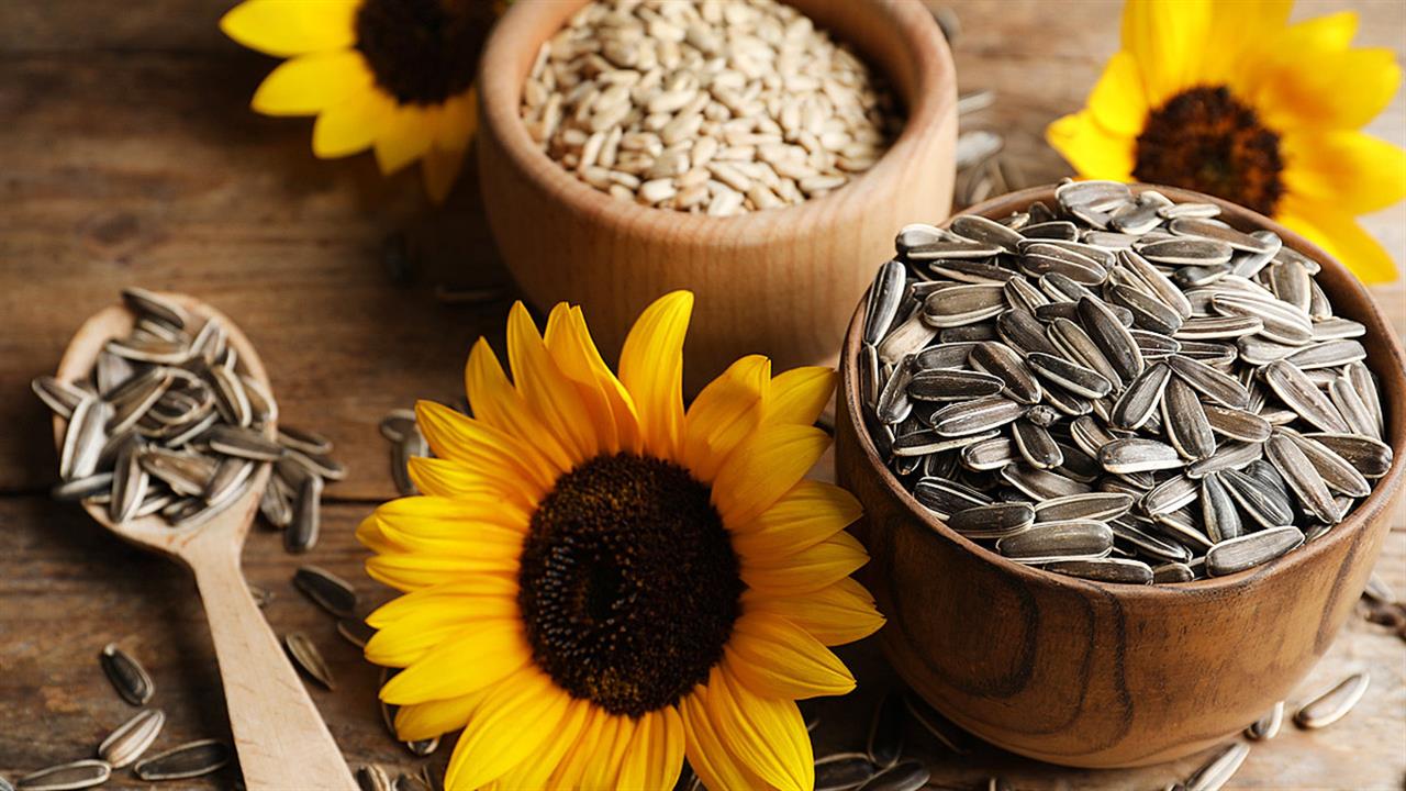 Αυτά είναι τα οφέλη που έχουν για την υγεία οι ηλιόσποροι