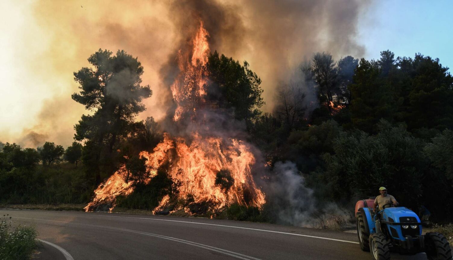 Εθνικό Πάρκο Δαδιάς: Χωρίς τέλος η καταστροφή – Στάχτη 34.000 στρέμματα δάσους