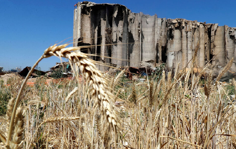 Λίβανος: Παίρνει δάνειο 150 εκ. δολαρίων από την Παγκόσμια Τράπεζα για εξαγωγή σιτηρών