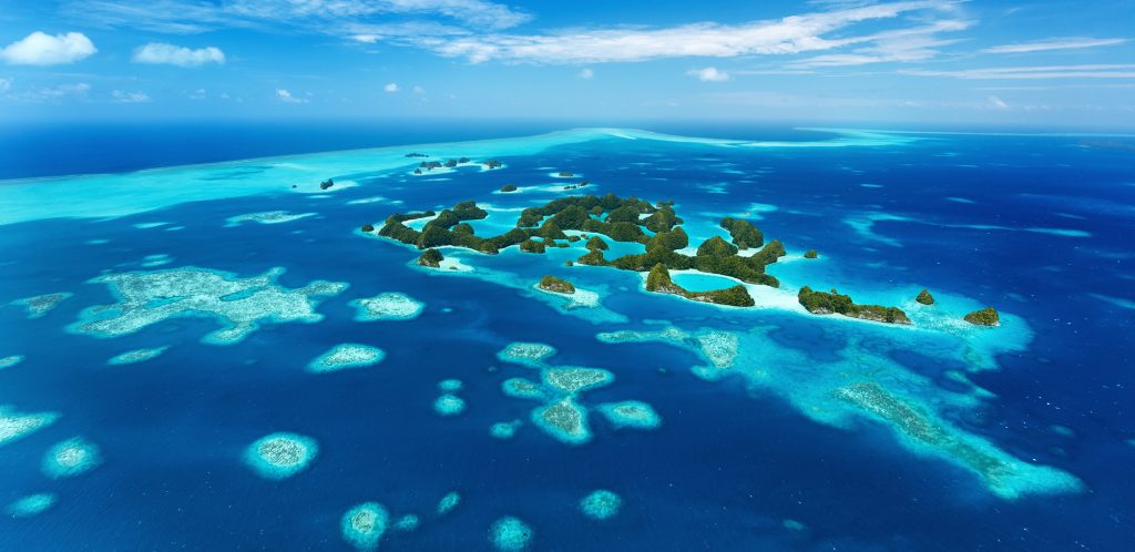 Ειρηνικός Ωκεανός: Επιστήμονες ανακάλυψαν 30 πιθανά νέα είδη πλασμάτων στον πυθμένα του