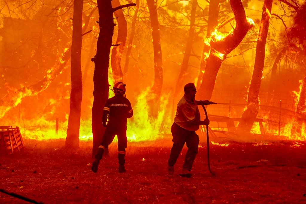 Λέσβος: Άμεση η αποζημίωση των πληγέντων από τη δασική πυρκαγιά στα Βατερά