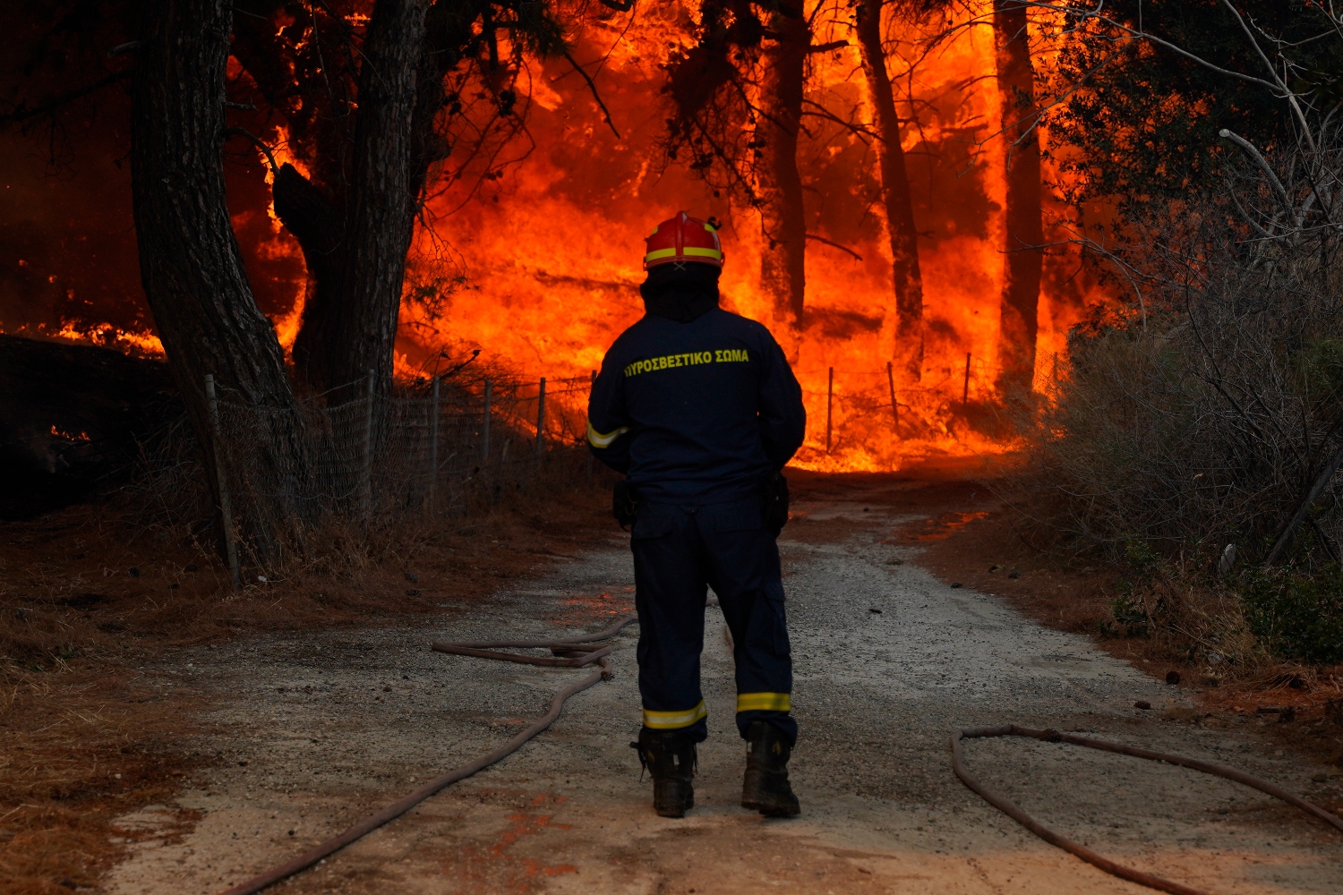 Έβρος: Μαίνεται για 7η μέρα η φωτιά στο δάσος της Δαδιάς – Ξεκινούν τις ρίψεις τα εναέρια μέσα