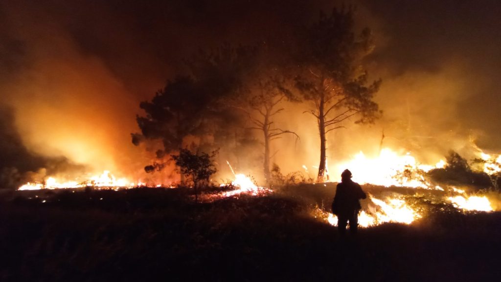 Φωτιά στη Δαδιά – Δήμαρχος Σουφλίου: «Δακρύζω με τη μαυρίλα – Κάηκε το 23% του δάσους»