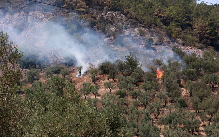 Έβρος: Χωρίς ενεργό μέτωπο η φωτιά στη Δαδιά