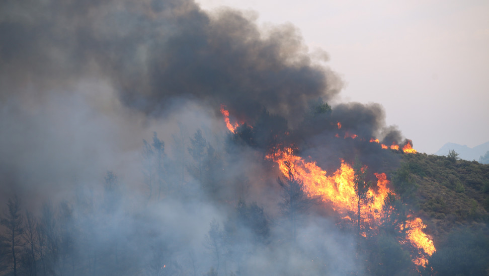 Kαίγεται ξανά Ποικίλο Όρος – Πυρκαγιά στον Περιφερειακό Αιγάλεω