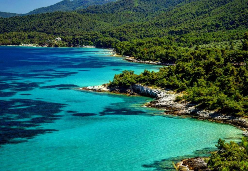 Τα πεύκα φτάνουν μέχρι τη θάλασσα: Αυτά είναι τα πέντε πιο πράσινα νησιά της Ελλάδας