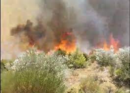 Φωτιά στο Δίστομο Βοιωτίας: Πλησιάζουν τα σπίτια οι φλόγες – Πνέουν ισχυροί άνεμοι