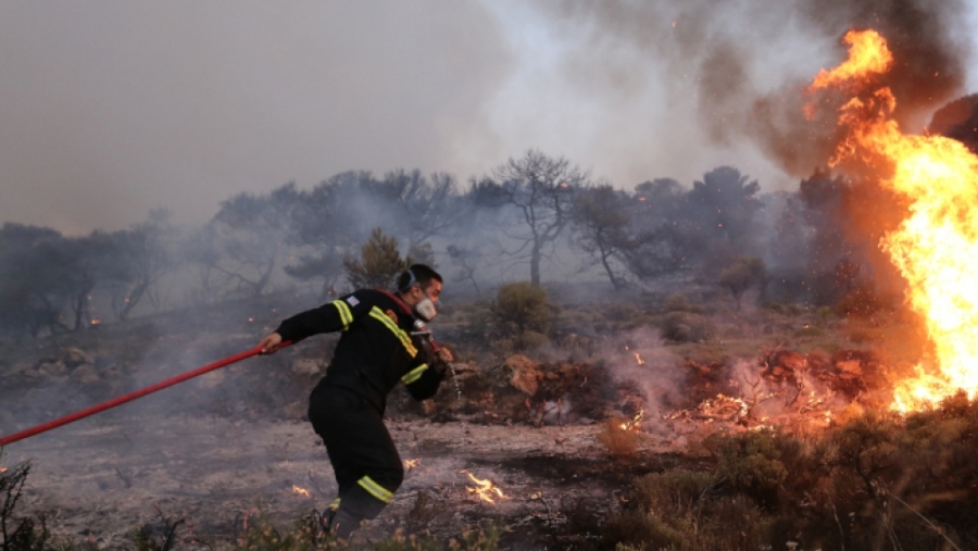 Κόρινθος: Πυρκαγιά στη Λίμνη Δασίου