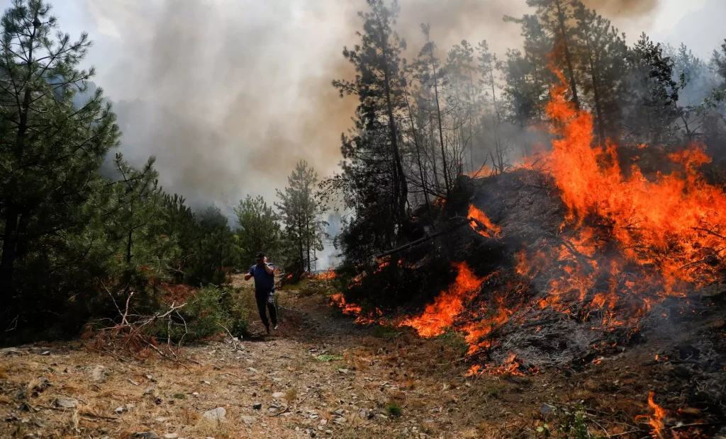 Φωτιές στην Αλβανία απειλούν χωριά που κατοικούν Έλληνες – Ελληνικά Καναντέρ στη μάχη