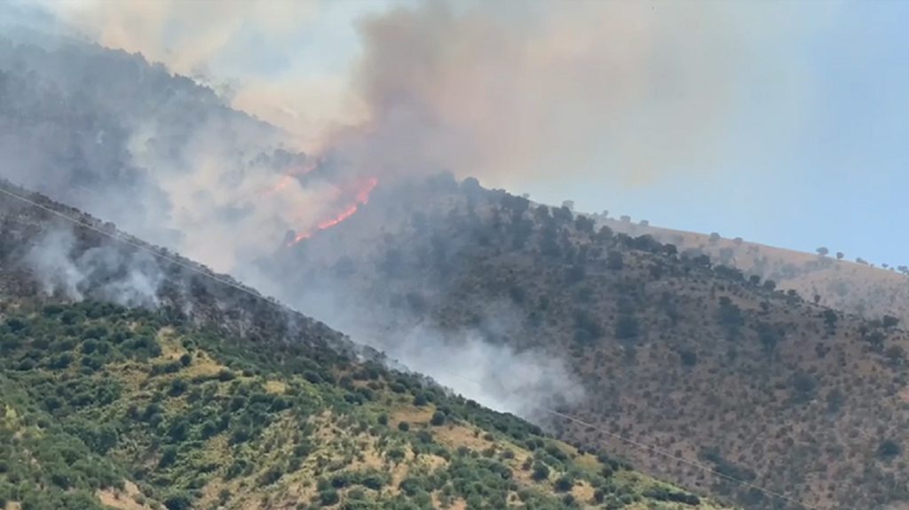 Φωτιά τώρα σε χαμηλή βλάστηση στο Καλαμάκι Ζακύνθου – Σηκώθηκαν και εναέρια μέσα