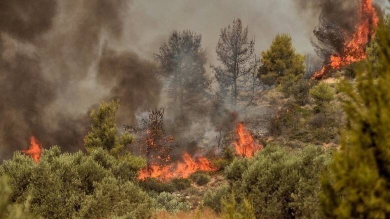Πολύ υψηλός κίνδυνος πυρκαγιάς αύριο για τρεις περιφέρειες της χώρας
