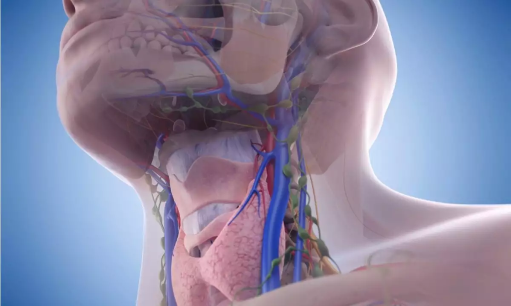 Καρκίνος στους λεμφαδένες: Αυτά είναι τα συμπτώματα που χρειάζονται προσοχή