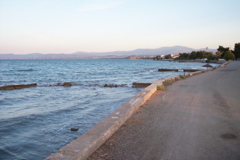 Εύβοια: Έκανε το μπάνιο του και ξαφνικά εντόπισε στη θάλασσα κυνηγετικά φυσίγγια και σφαίρες