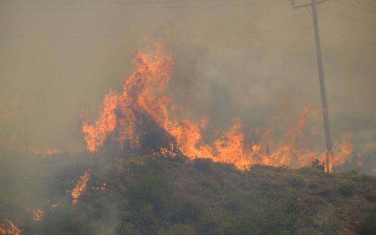 Φωτιές σε περιοχές της Μεσσηνίας και της Θεσσαλίας