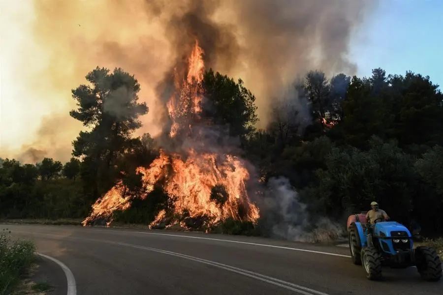 Πολύ υψηλός κίνδυνος πυρκαγιάς σήμερα – Οι τρεις περιφέρειες που χρειάζεται προσοχή
