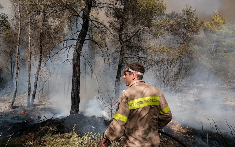 Κοζάνη: H φωτιά στη Βάλια Κάλντα σιγοκαίει για 12η μέρα