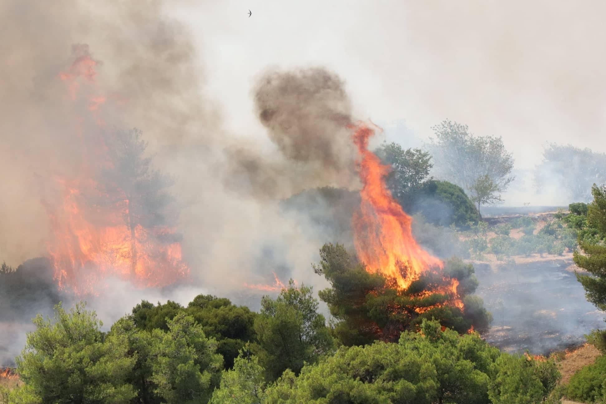 Εύβοια: Φωτιά στην περιοχή Καστρί στην Ερέτρια (φώτο)