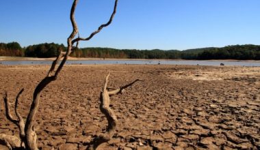 Ολλανδία: Η κυβέρνηση κήρυξε τη χώρα σε κατάσταση λειψυδρίας λόγω της ξηρασίας