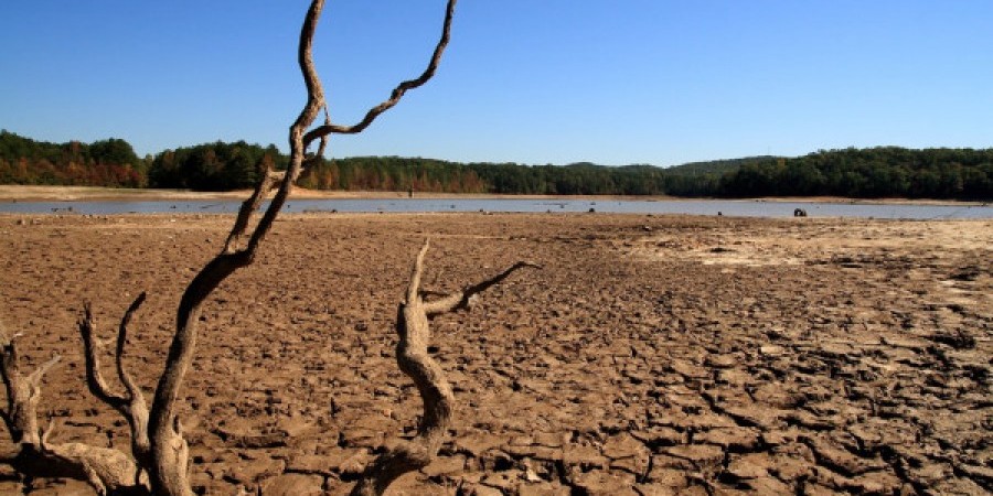 Ολλανδία: Η κυβέρνηση κήρυξε τη χώρα σε κατάσταση λειψυδρίας λόγω της ξηρασίας