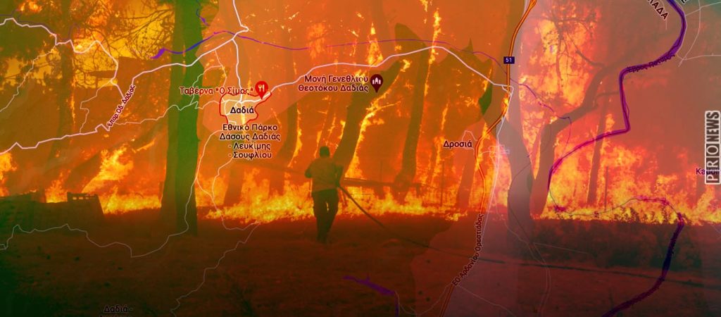 Μας κοροϊδεύουν: «Η φωτιά καθάρισε το δάσος της Δαδιάς από τα ξερόχορτα – Ήταν καλή τελικά»!